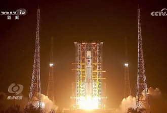 果蝇“登天”记：揭秘中国空间站最新科学实验