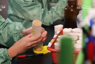 果蝇“登天”记：揭秘中国空间站最新科学实验
