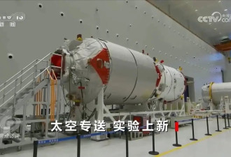 果蝇“登天”记：揭秘中国空间站最新科学实验