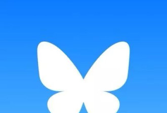 马斯克挺川普 意外让蓝天用户量激增 瘫痪服务器