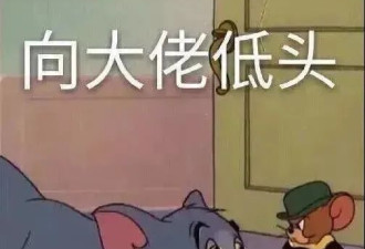 北美留学生才懂的潜规则，看完最后一个我破防了