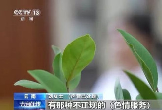 “月薪 8 万，整形后安排入职！” 真相是……