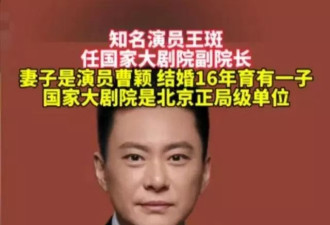 这一次，丈夫 “升官” 的曹颖令人刮目