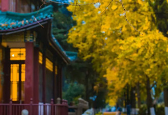 高铁直达！国内秋景天花板就在这座千年古城！