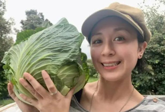 依旧冻龄！唐宁离婚后移居纽西兰近况曝光