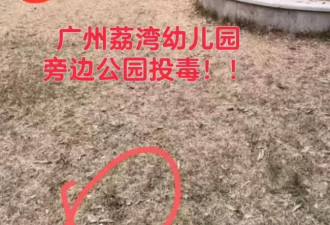 40多只宠物狗集体中毒死亡：有东西死 它们就爽