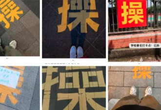上海这个新“打卡点”火爆 照片疯传 网络炸锅了