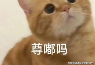 一句话八百个心眼子，姐靠着全网嫌的黑红流量也混成国际红人了…