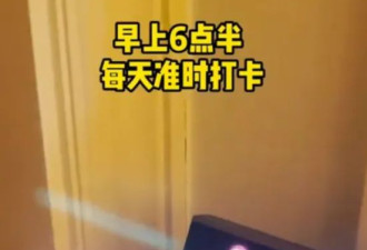满身的技能...月薪18000的富人保姆日程表曝光