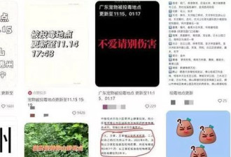 40家犬“嗅闻一下”当场倒毙 广州缉拿下毒者