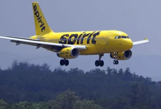 美国这家知名廉价航空申请破产！股票变壁纸