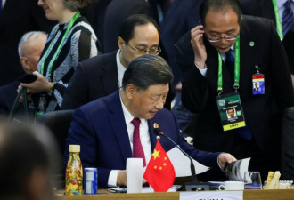 G20峰会，习近平官宣巨额援助计划