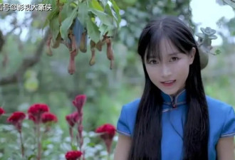 为前公司创收16亿,却只分4毛9,李子柒用3年讨公道
