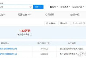 赵薇等被强执8488元 赵薇公司等被强执1.4万