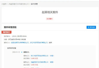 赵薇等被强执8488元 赵薇公司等被强执1.4万