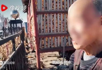 出门看猛虎的73岁老人“比老虎还虎”：我不害怕