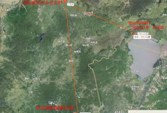 五问“黑龙江老虎进村伤人”：一只还是两只？