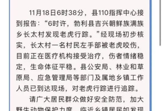 五问“黑龙江老虎进村伤人”：一只还是两只？