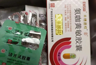 广东的夏与秋，一场和登革热的激烈较量