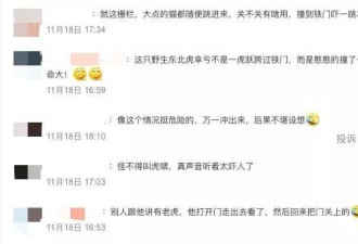 出门看猛虎的73岁老人“比老虎还虎”：我根本不害怕