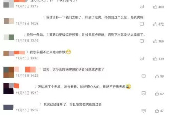 出门看猛虎的73岁老人“比老虎还虎”：我根本不害怕