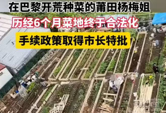 妈祖同意在巴黎种菜 中国移民开荒获巴黎市长特批