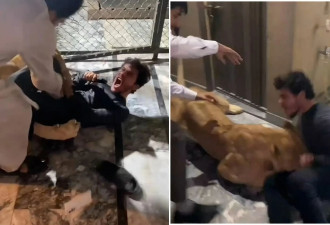 男找狮子玩自拍 惨被死死狠咬