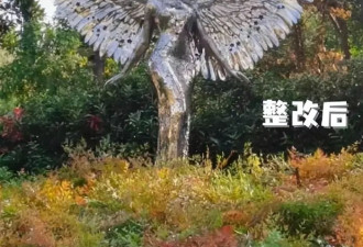 李玟墓地杂草丛生，知情人曝料被区别对待，粉丝心痛不已