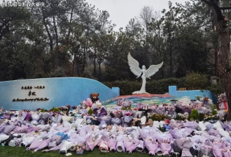 李玟墓地杂草丛生，知情人曝料被区别对待，粉丝心痛不已