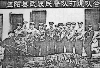 疯狂的老虎，比野史还要野