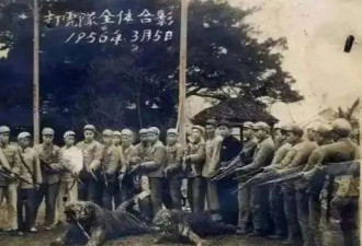 疯狂的老虎，比野史还要野