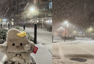 倒反天罡：温哥华降大雪，今年比多伦多还早