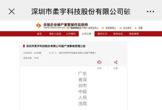 “折叠屏手机鼻祖”公司：正式破产 ....