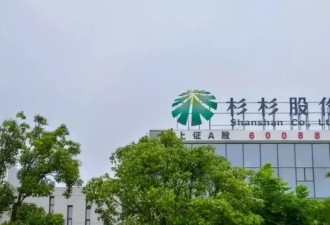 “杉杉帝国”争夺战：拥有人脉的美继母完胜“嫡长子”