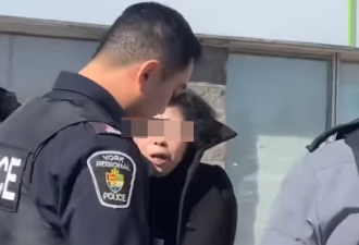 万锦太古广场华人大妈被警方包围+搜身！网友惊曝：偷了“LV包”！