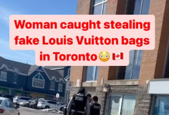 万锦太古广场华人大妈被警方包围+搜身！网友惊曝：偷了“LV包”！