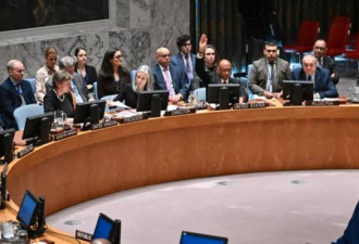 快讯：加沙停火决议 美国投唯一否决票 中国发声