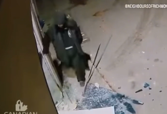 偷车贼驾车破门而出，狂撞自行车店再行窃，视频曝光！