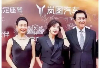 65岁陈冲不愧是影后，穿黑色旗袍端庄贵气，意外撞脸刘晓庆！