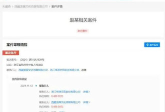 赵薇被强执8488元 网友：伤害性不大 侮辱性极强
