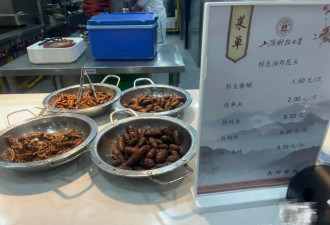 上财食堂推出“油炸昆虫”：有云南同学大快朵颐