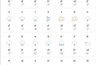 加拿大今冬有更多雪！多伦多1月份天天是雨雪天！