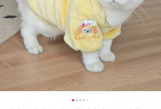 新生儿不够用了，迪士尼盯上宠主的钱包