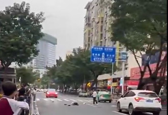 珠海汽车失控撞过斑马线行人 多人倒地传3丧生