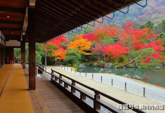日本这些秋日红叶名胜的世界遗产都是人造的