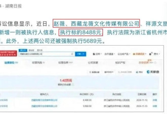 赵薇，被强制执行8488块！网友：伤害性不大，侮辱性极强