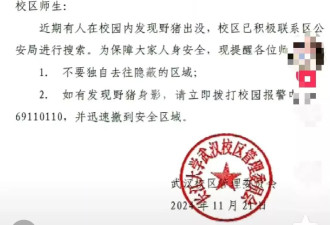 武汉高校校区门口现“野猪狂奔” 林业局：仍在搜捕