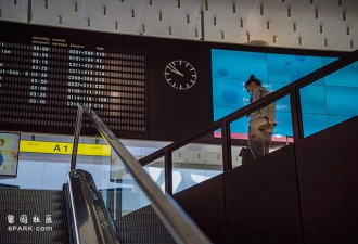 亲爹套路 外资做局 富二代张康阳被全球追债