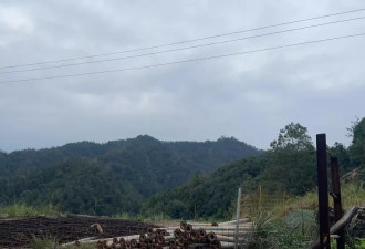 平江藏着价值6000亿元的黄金？村民:小时候山上容易捡