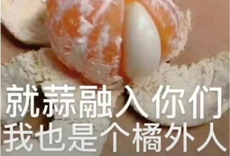 失望，太失望了，失望到想骂街